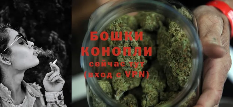 Шишки марихуана Bruce Banner  купить наркоту  Новодвинск 